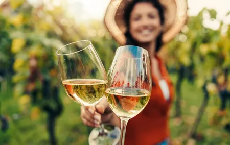 From San Francisco: Napa & Sonoma Valley Wine Tour with Tastings