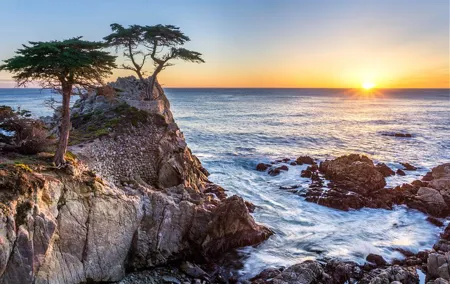 Monterey, Carmel and 17-Mile Drive: Full Day Tour from SF