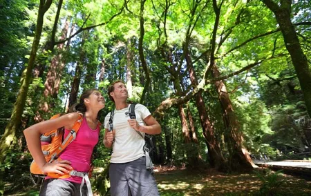 San Francisco Excursion: Guided Tour to Muir Woods and Sausalito