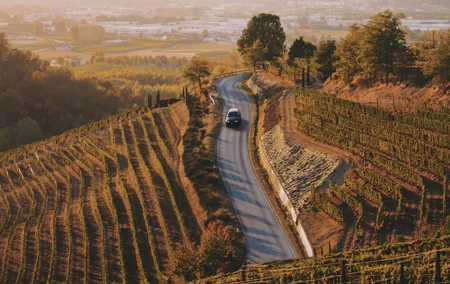6-hour Private Luxury SUV Wine Tour in Napa Or Sonoma Valley