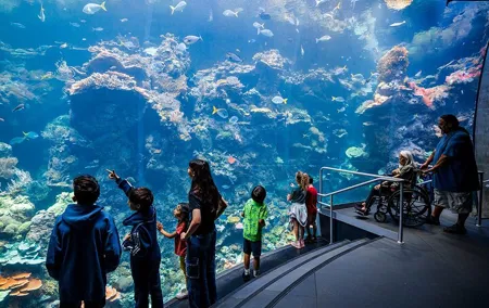 California Academy of Sciences General Admission Ticket