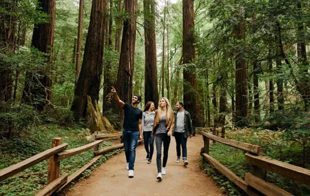 San Francisco, Muir Woods, Sausalito and optional Alcatraz tour