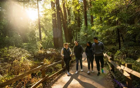 San Francisco to Muir Woods Shuttle