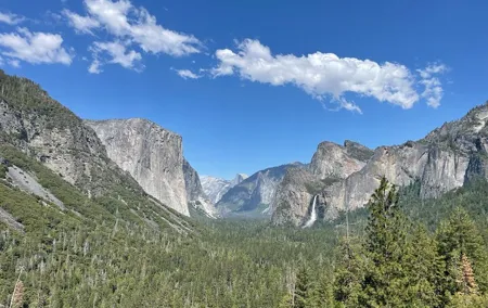 Yosemite National Park & Sequoias Private Tour from San Francisco