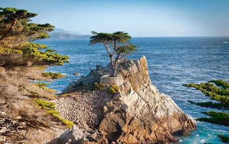 Monterey Peninsula and Carmel by the Sea Small Group Tour