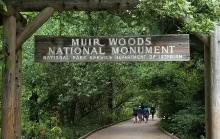 Muir Woods and Sausalito Tour Entrance Fee Included