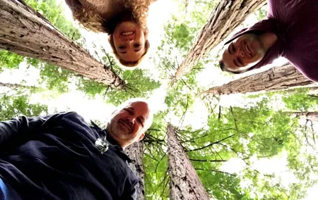San Francisco & Muir Woods Full Day Small Group Private Tour