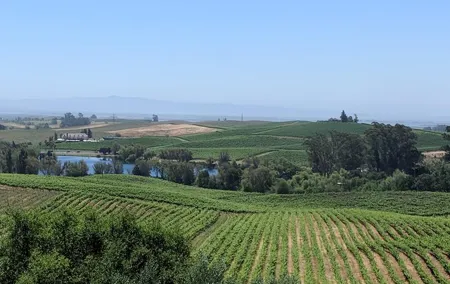 Napa and Sonoma Valley Wine 6 hour Tour from San Francisco