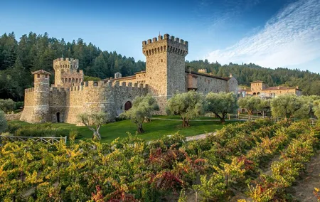 Napa Valley Wine and Food Tasting Tour from San Francisco