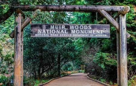 Private Muir Woods, Sausalito, and Marin Headlands Tour