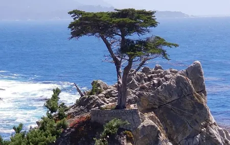Private Tour to Monterey, Carmel, 17-Mile Drive, Pebble Beach