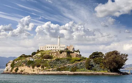 San Francisco Alcatraz Island and Guided Muir Woods Tour