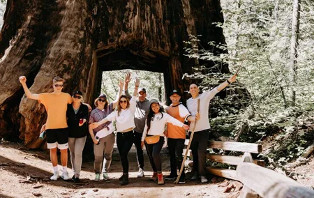 San Francisco to Yosemite One-Way Transfer