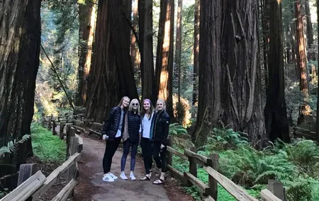 Muir Woods and Golden Gate Bridge 3-hour Private Group Tour