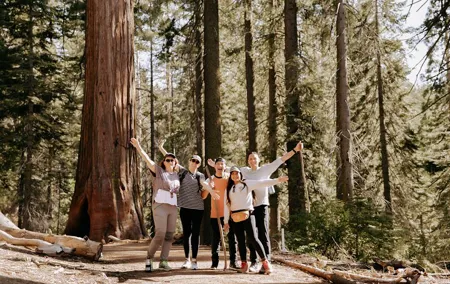Yosemite National Park & Giant Sequoias 2-Day Semi-Guided Tour