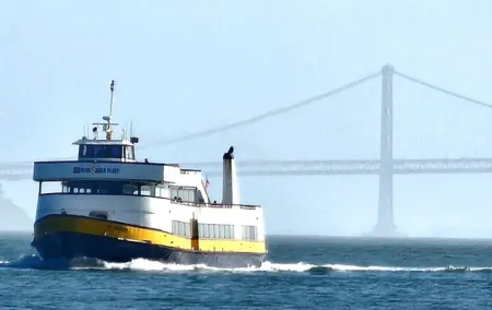 Muir Woods Sausalito Entry & Ferry to Fishermans Wharf included