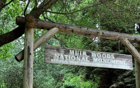 Muir Woods, Sausalito and Golden Gate Bridge
