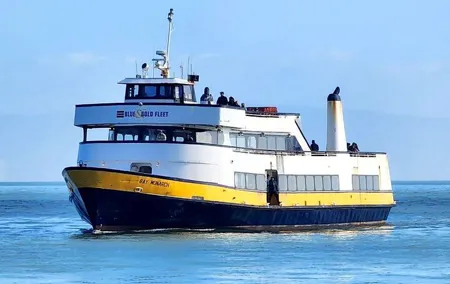 San Francisco Bay Cruise and City Combo Tour