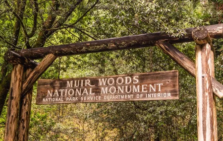 San Francisco, Golden Gate, Sausalito and Muir Woods Private Tour