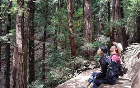 San Francisco: Guided Muir Woods Tour & Hop-on Hop-off Bus Tour