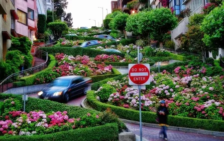 Private SF Highlights & Stanford Shopping Tour