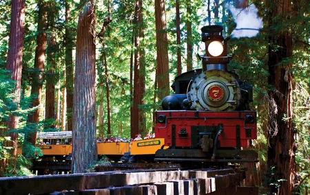 Redwood Forest, Santa Cruz Harbor 1-Day Trip from San Francisco