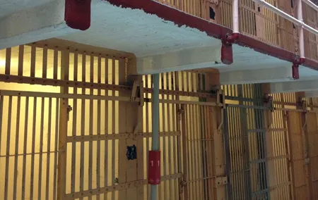 Alcatraz Island Tour with San Francisco Bay Tour