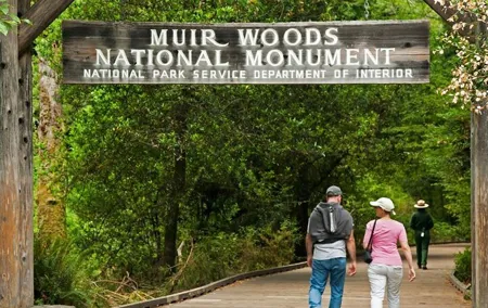 Muir Woods Express with Golden Gate Bridge Visit