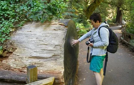 Shore Excursion: Guided Tour to Muir Woods from San Francisco