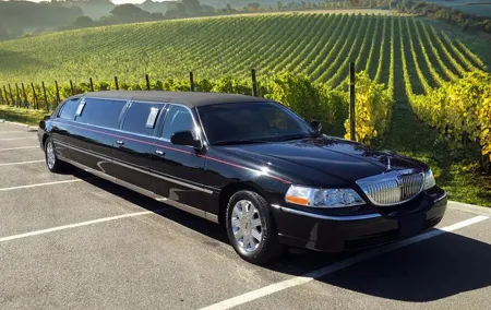 6 Hour Napa or Sonoma Wine Tour in Private Limousine