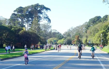 Summer of Love San Francisco Guided eBike Tour Golden Gate Park