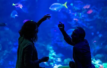 California Academy of Sciences NightLife Plus Admission Ticket
