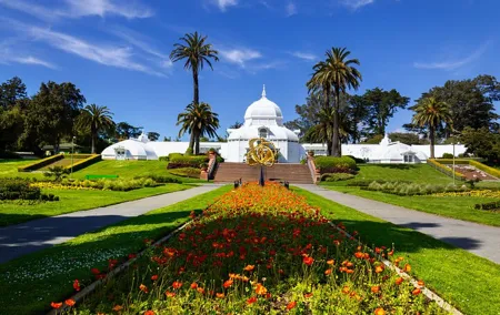Golden Gate Park Tour With California Academy of Sciences Ticket