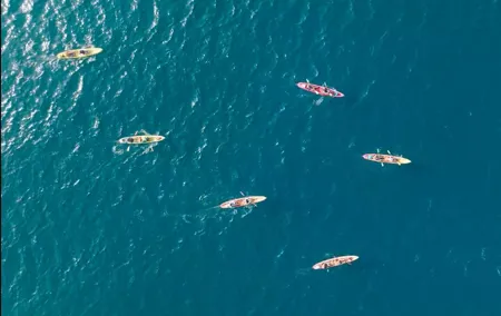 Explore Point Reyes by Sea Kayak