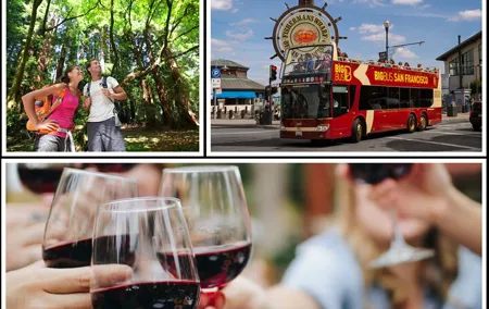 From San Francisco: Wine Tour, Redwoods, and Hop-on Hop-off Tour