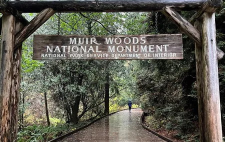 Muir Woods and Sausalito Private Tour