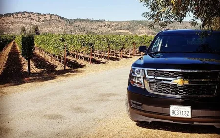 Custom 8-Hour Napa Valley Wine Tour in a Luxury Vehicle