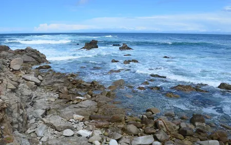 Small Group | 1 Day Tour Through Monterey From San Francisco