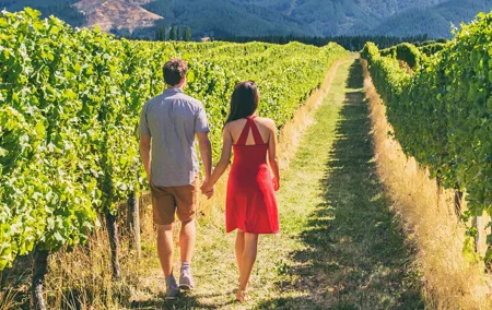 San Francisco: Napa & Sonoma Wine Tour & 24hr Hop-on Hop-off Tour