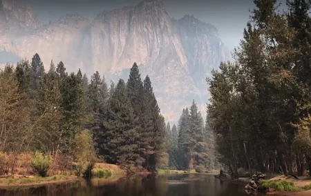 Yosemite, Kings Canyon National Parks 2 Day Tour from SF
