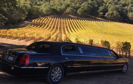 6-Hour Luxury Napa Wine Tasting Tour with Route Planning