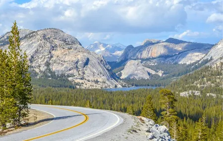 Yosemite and Tahoe from San Francisco: 4 Day Sierra Nevada Tour