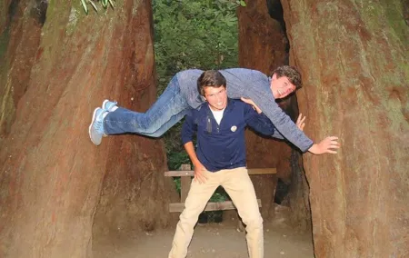 Half-Day Private Tour of Muir Woods & Sausalito from San Francisco