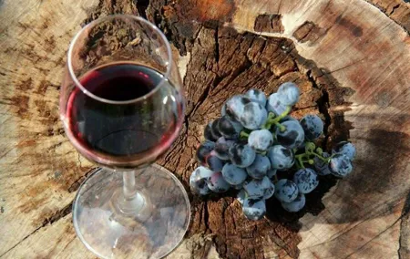 Napa Valley and Sonoma Valley Private Tour from San Francisco
