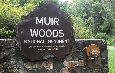 Muir Woods & Sausalito: Small Group Experience