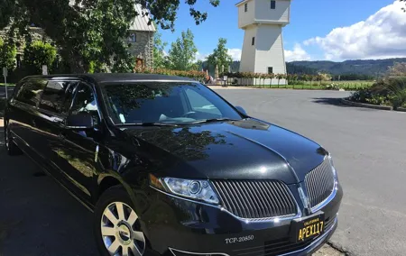 8-Hour, Private Limo Wine Tour to Napa from San Francisco
