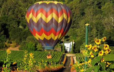 Thrilling Napa Balloon Ride: No change after 5pm the day prior to balloon tour
