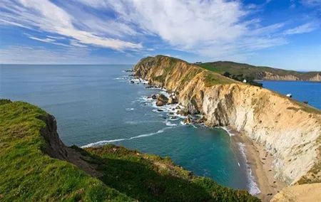 Discover Point Reyes National Seashore & Muir Woods Redwoods