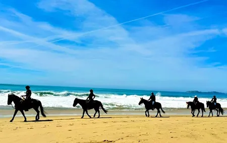 Horseback Ride & Alcatraz Prison Tickets