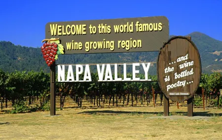 Napa or Sonoma Private Wine Tour from San Francisco